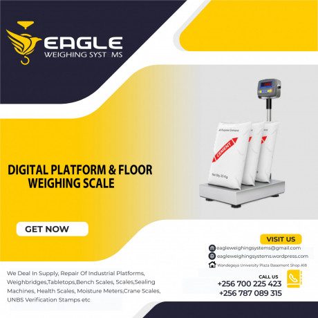 platform-weighing-scales-at-eagle-weighing-systems-ltd-big-0