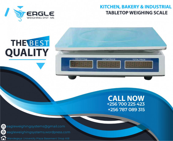 standard-supplier-wholesale-weighing-scales-30kg-big-0