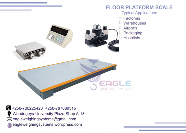 electronic-platform-digital-weighing-scale-with-railing-in-kampala-big-0