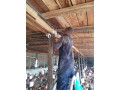 cctv-cameras-small-0