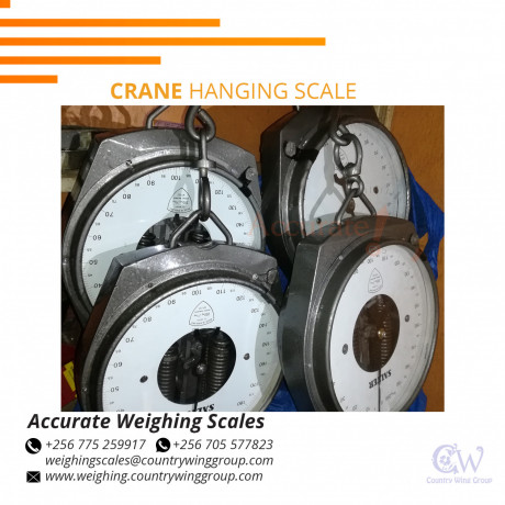 1000kg-digital-crane-weighing-scale-with-stable-time-big-0