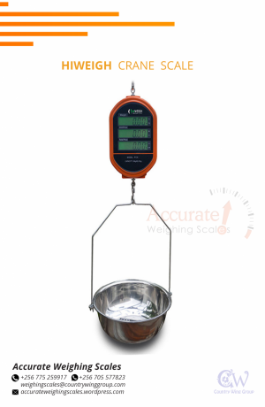 crane-weighing-scale-with-high-temperature-protecting-plate-buziga-256-0-big-0