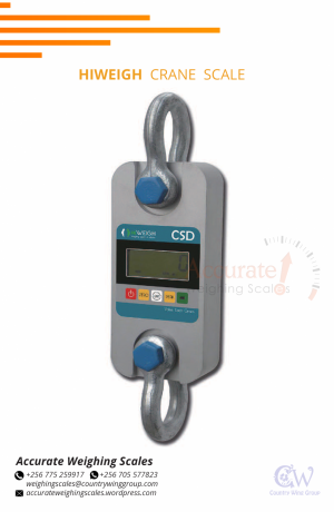 crane-weighing-scales-of-5g-divisions-in-store-kololo-256-0-big-0