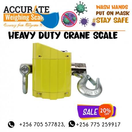 heavy-duty-crane-weighing-scales-with-peak-hold-function-in-store-lira-256-0-big-0