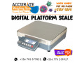 platform-floor-industrial-weighing-scales-1ton-in-kampala-small-0