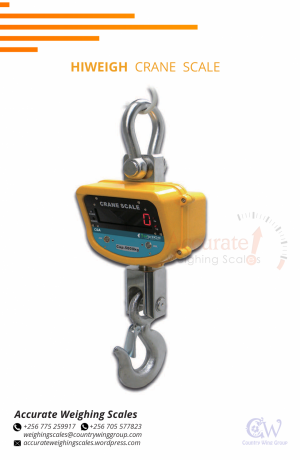 affordable-suppliers-of-crane-weighing-scale-for-sale-namulonge-big-0