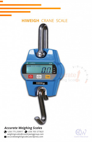purchase-perfect-crane-weighing-scales-at-entebbe-big-0