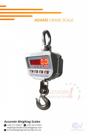 adam-crane-weighing-equipment-with-led-display-for-traditional-business-256-0-big-0