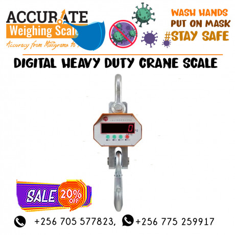 raised-hanging-crane-weighing-scale-at-affordable-prices-big-0