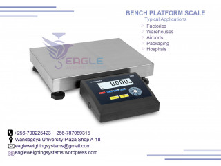 Weighing floor scales at Eagle Weighing systems Ltd