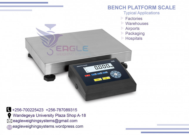 weighing-floor-scales-at-eagle-weighing-systems-ltd-big-0