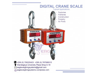 1 ton digital hanging crane scales in Mukono