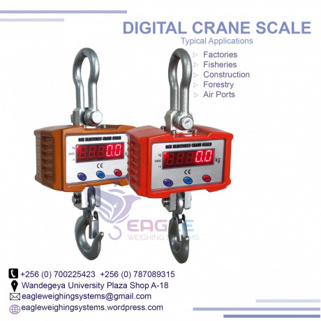 1-ton-digital-hanging-crane-scales-in-mukono-big-0