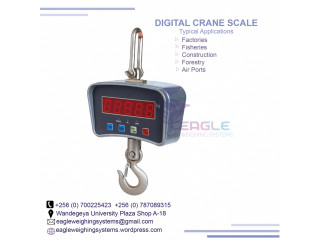 Digital Hanging Scale,50kg Capacity in Mukono