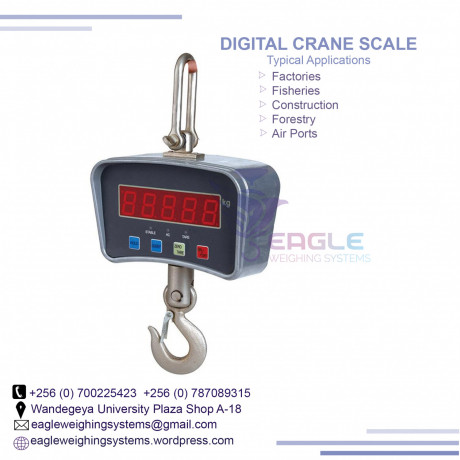 digital-hanging-scale50kg-capacity-in-mukono-big-0