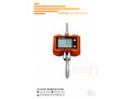 kelba-digital-crane-weighing-scale-with-led-backlight-display-in-store-gulu-256-0-small-0