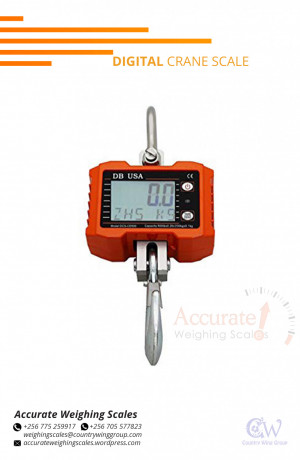 kelba-digital-crane-weighing-scale-with-led-backlight-display-in-store-gulu-256-0-big-0