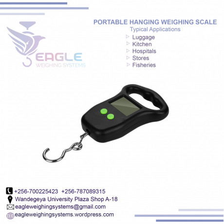 digital-hanging-travel-portable-hanging-scales-in-kampala-big-0