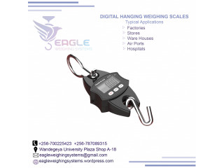 Industrial hanging/weighing crane scale in Mukono