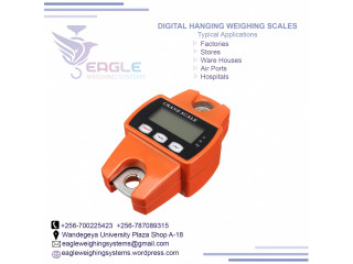 Electronic Weighing Scales at eagle weighing systems