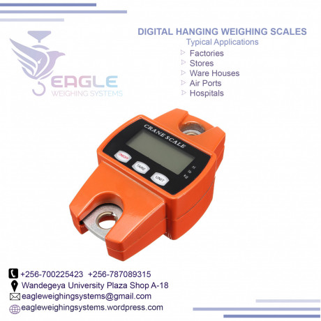 electronic-weighing-scales-at-eagle-weighing-systems-big-0