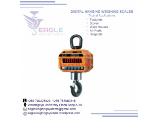 Waterproof digital hanging scales for fisheries in Uganda