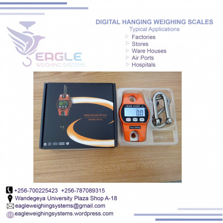 crane-scales-200kg-at-eagle-weighing-systems-in-wandegeya-big-0