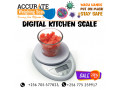 industrial-class-design-waterproof-kitchen-scale-prices-from-usa-to-uganda-small-0