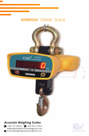 kelba-digital-crane-weighing-scale-with-led-backlight-display-in-store-gulu-256-0-big-0