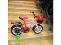 kids-bikes-small-4