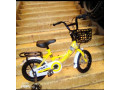 kids-bikes-small-3