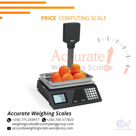 30kg-price-computing-scale-for-commercial-use-in-grocery-stores-kampala-256-0-256-0-big-0