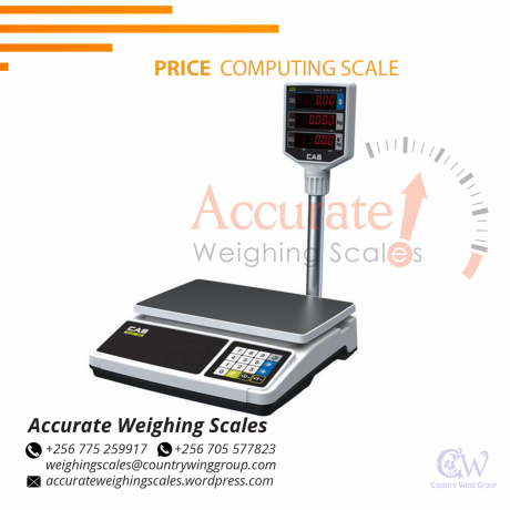 price-computing-scale-with-lcd-display-with-backlit-at-affordable-prices-gulu-256-0-256-0-big-0