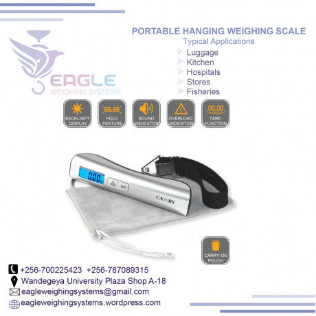 portable-fish-hanging-and-luggage-scales-in-jinja-big-0