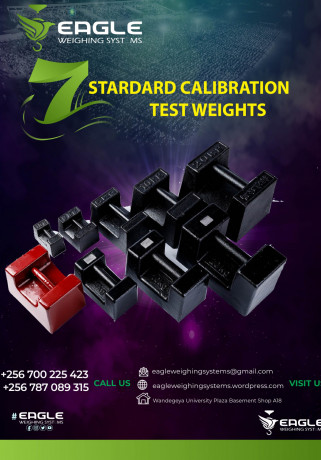 electronic-industrial-platform-scales-big-0