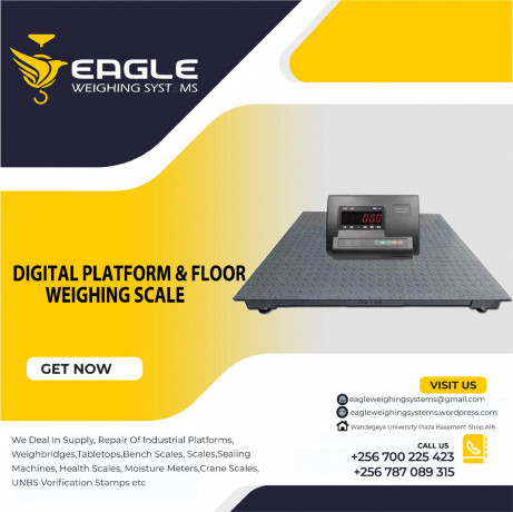 electronic-weighing-scales-big-0