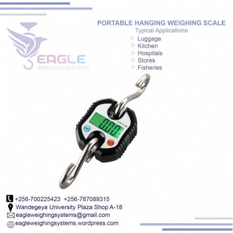 digital-hanging-weighing-portable-scales-in-mukono-big-0