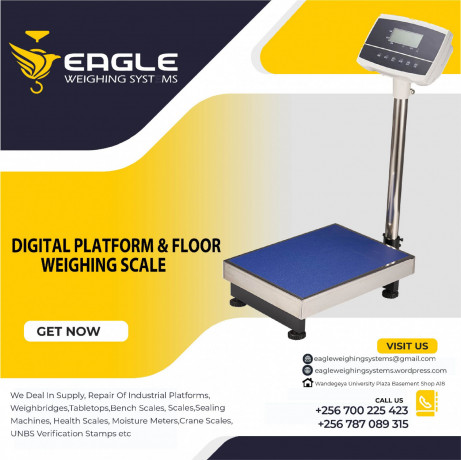 weighing-balance-platform-weighing-scale-big-0