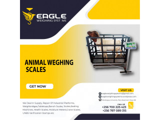 Suppliers of electronic digital Animal scales