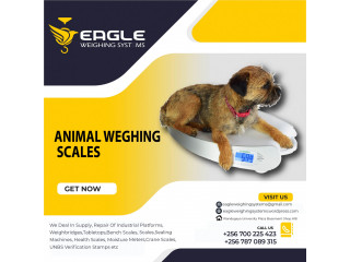 Pet platform wegihng scales