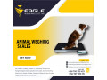 large-platform-electronic-dog-pet-scaleanimal-scalepostal-scale-small-0