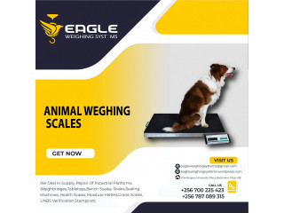 Large platform electronic dog pet scale,animal scale,postal scale