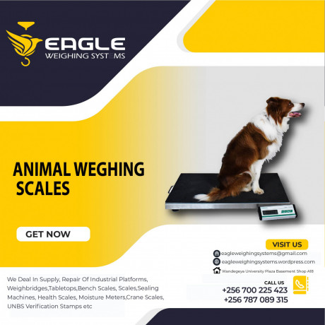 large-platform-electronic-dog-pet-scaleanimal-scalepostal-scale-big-0