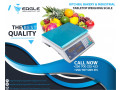 commercial-electronic-kitchen-food-scales-small-0