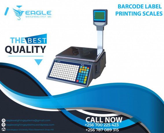 industrial-electronic-digital-weighing-scales-big-0