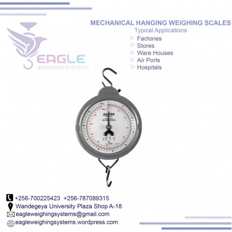 20kg-high-accuracy-double-sided-hanging-scales-in-kampala-big-0