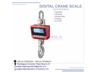 1 ton digital hanging crane scales