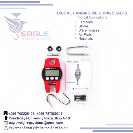 high-precision-hanging-weighing-scale-big-0