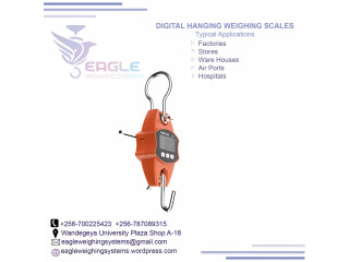 Longlasting Hanging Weighing Scale