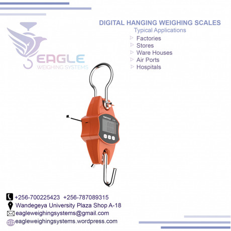 longlasting-hanging-weighing-scale-big-0